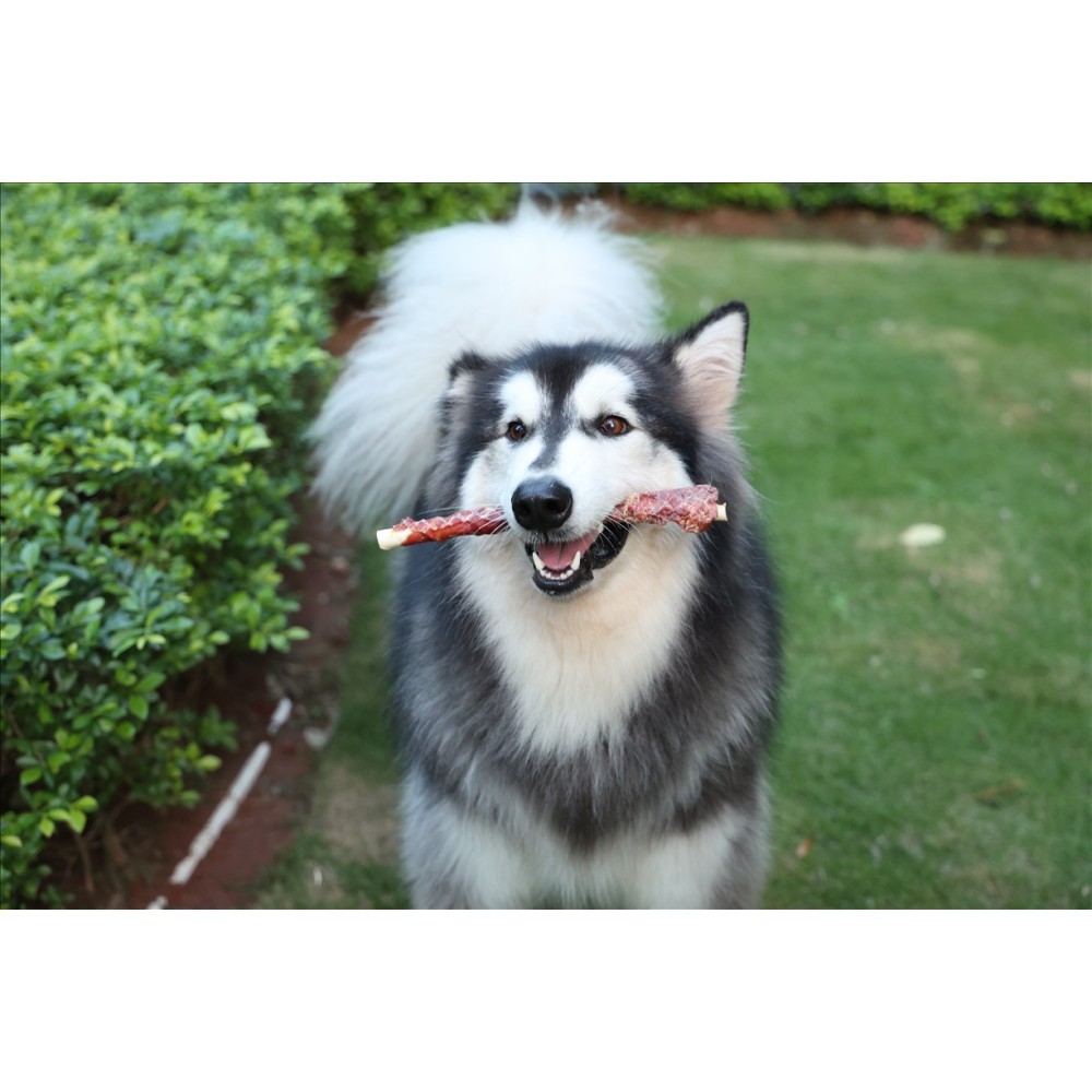 Uniq 320gr Λιχουδιά για Σκύλους Στικς από Δέρμα Τυλιγμένα με Πάπια 28εκ