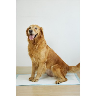 Uniq Snappy Pawdry Blue Επιδαπέδιες Πάνες Εκπαίδευσης Σκύλων 60×90cm 20τμχ