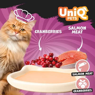 Uniq Delight Shake 60gr για Γάτες με Σολομό και Κράνμπερι σε Τασάκι 6τμχ