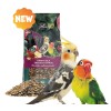 Sing & Song Wildwings 500gr Πλήρης Τροφή για Μεσαίου Μεγέθους Παπαγάλους