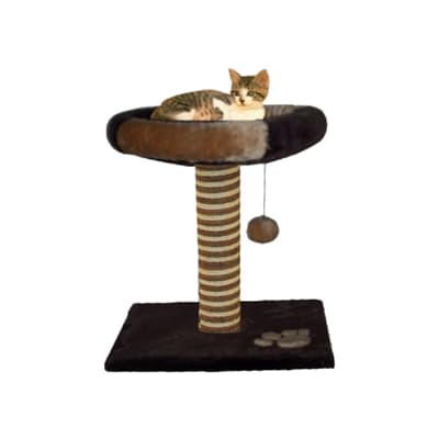 Παιχνίδια Γάτας