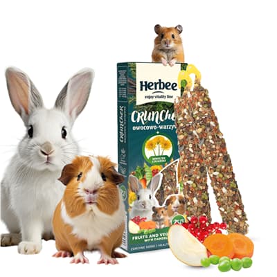 Τροφές Τρωκτικών